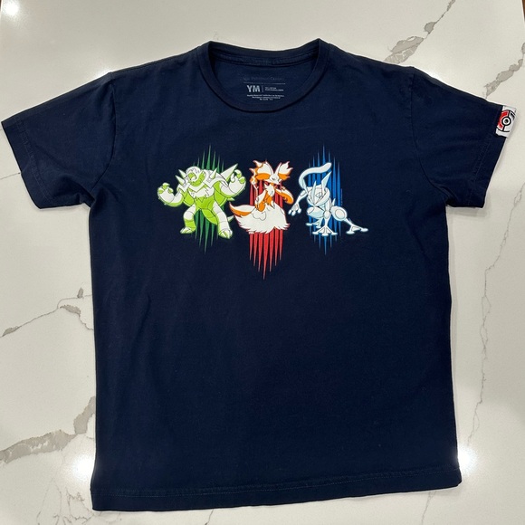 Kalos Pokémon Final Fierce Relaxed Fit Crew Neck T-Shirt - Youth Medium - Picture 1 of 7